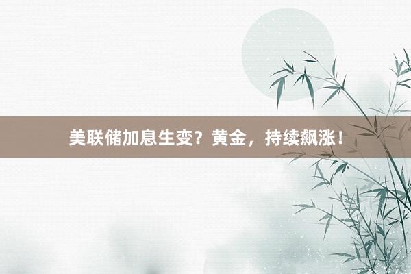 美联储加息生变？黄金，持续飙涨！