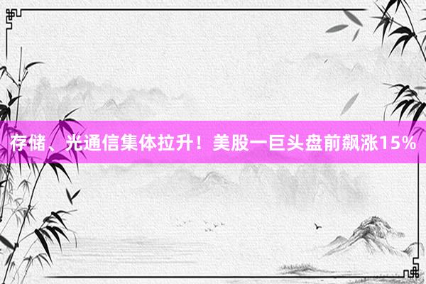 存储、光通信集体拉升！美股一巨头盘前飙涨15%