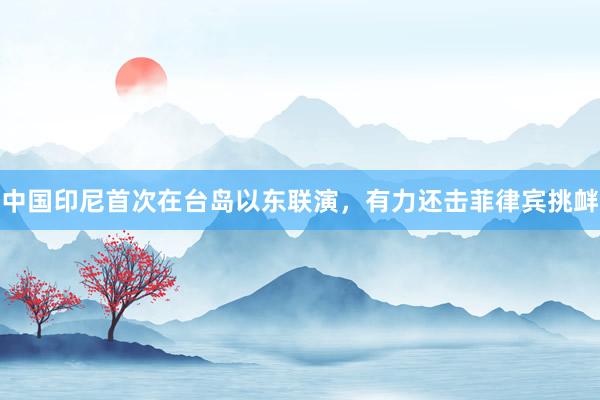 中国印尼首次在台岛以东联演，有力还击菲律宾挑衅