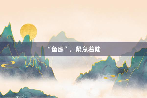 “鱼鹰”,紧急着陆