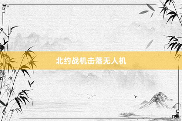北约战机击落无人机