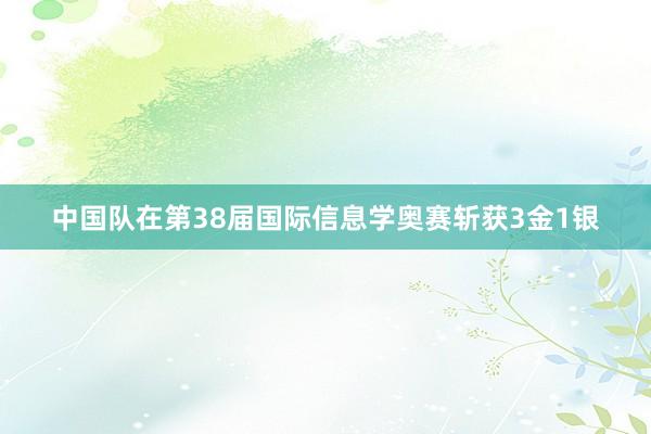 中国队在第38届国际信息学奥赛斩获3金1银