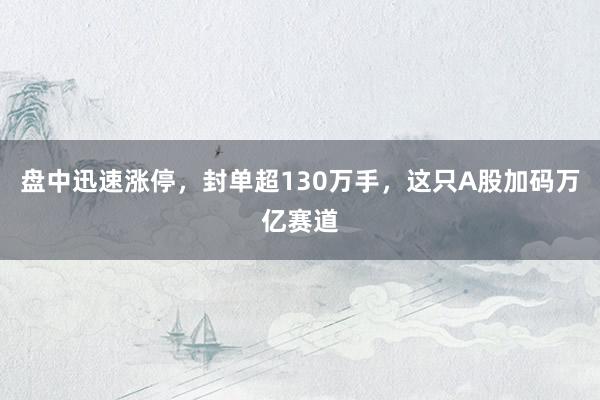 盘中迅速涨停，封单超130万手，这只A股加码万亿赛道