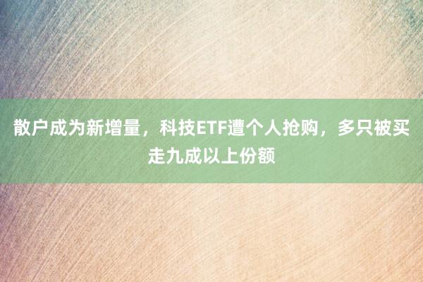 散户成为新增量，科技ETF遭个人抢购，多只被买走九成以上份额
