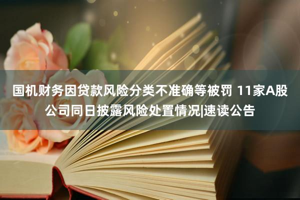 国机财务因贷款风险分类不准确等被罚 11家A股公司同日披露风险处置情况|速读公告