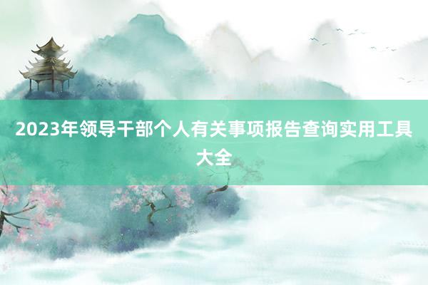 2023年领导干部个人有关事项报告查询实用工具大全
