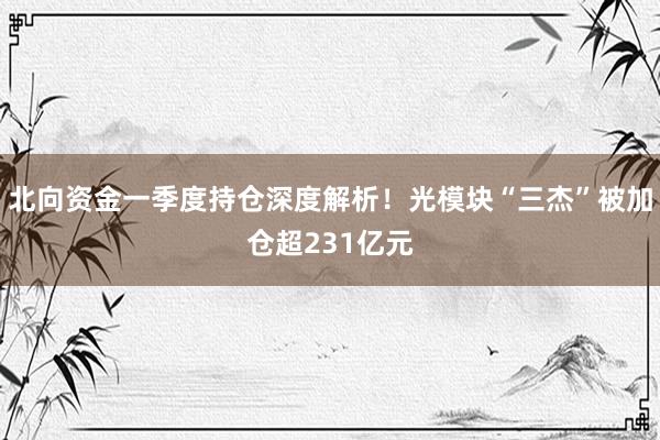 北向资金一季度持仓深度解析！光模块“三杰”被加仓超231亿元