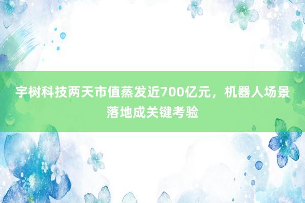 宇树科技两天市值蒸发近700亿元，机器人场景落地成关键考验