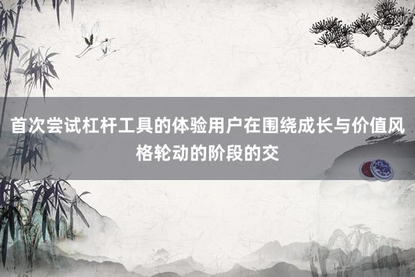 首次尝试杠杆工具的体验用户在围绕成长与价值风格轮动的阶段的交