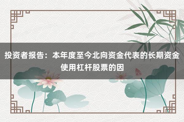 投资者报告：本年度至今北向资金代表的长期资金使用杠杆股票的因