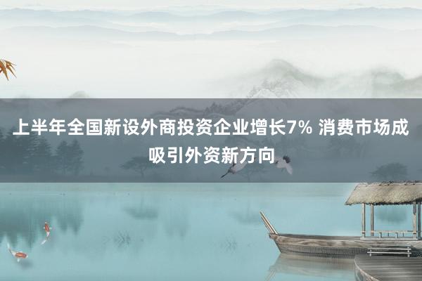 上半年全国新设外商投资企业增长7% 消费市场成吸引外资新方向