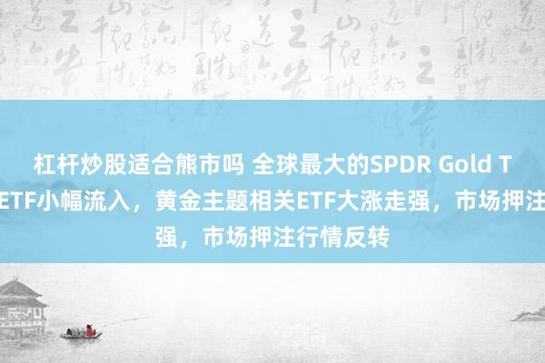 杠杆炒股适合熊市吗 全球最大的SPDR Gold Trust黄金ETF小幅流入，黄金主题相关ETF大涨走强，市场押注行情反转