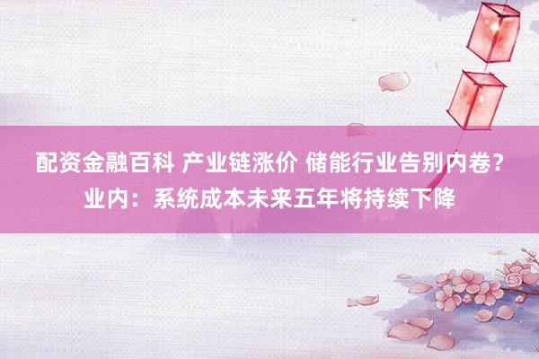 配资金融百科 产业链涨价 储能行业告别内卷？业内：系统成本未来五年将持续下降