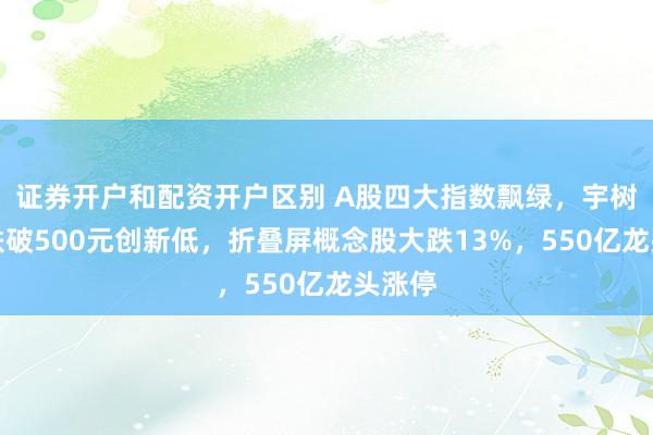 证券开户和配资开户区别 A股四大指数飘绿，宇树盘中跌破500元创新低，折叠屏概念股大跌13%，550亿龙头涨停