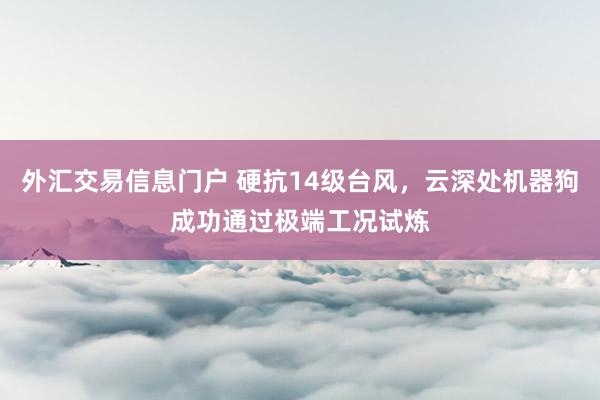 外汇交易信息门户 硬抗14级台风，云深处机器狗成功通过极端工况试炼