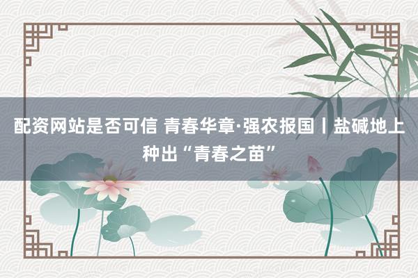 配资网站是否可信 青春华章·强农报国丨盐碱地上种出“青春之苗”