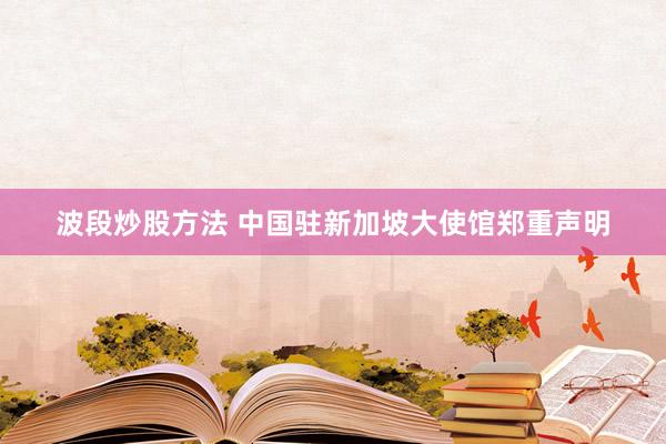 波段炒股方法 中国驻新加坡大使馆郑重声明
