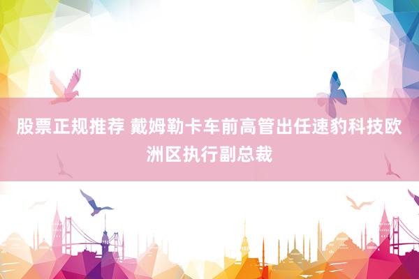 股票正规推荐 戴姆勒卡车前高管出任速豹科技欧洲区执行副总裁