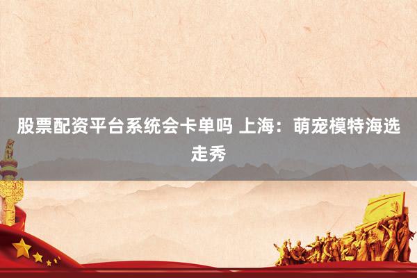股票配资平台系统会卡单吗 上海：萌宠模特海选走秀