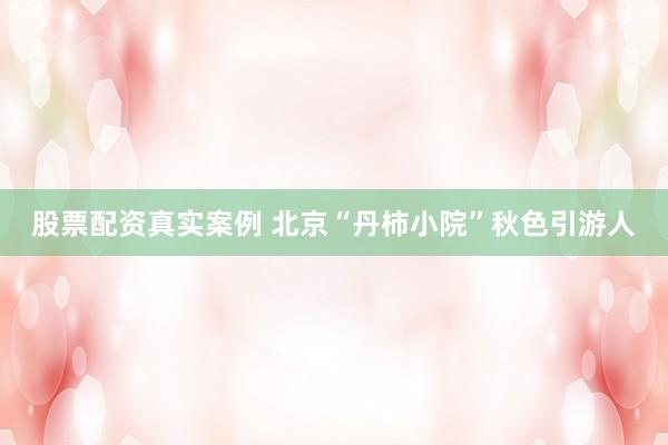 股票配资真实案例 北京“丹柿小院”秋色引游人