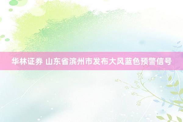 华林证券 山东省滨州市发布大风蓝色预警信号